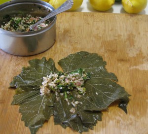 dolmas 006