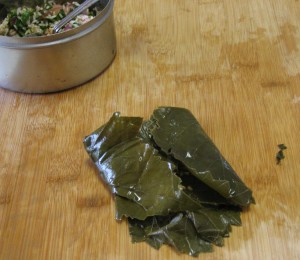 dolmas 007