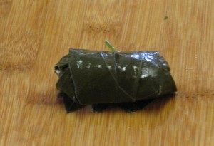 dolmas 009