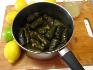 dolmas 010