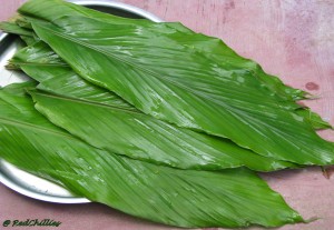 turmeric_leaves