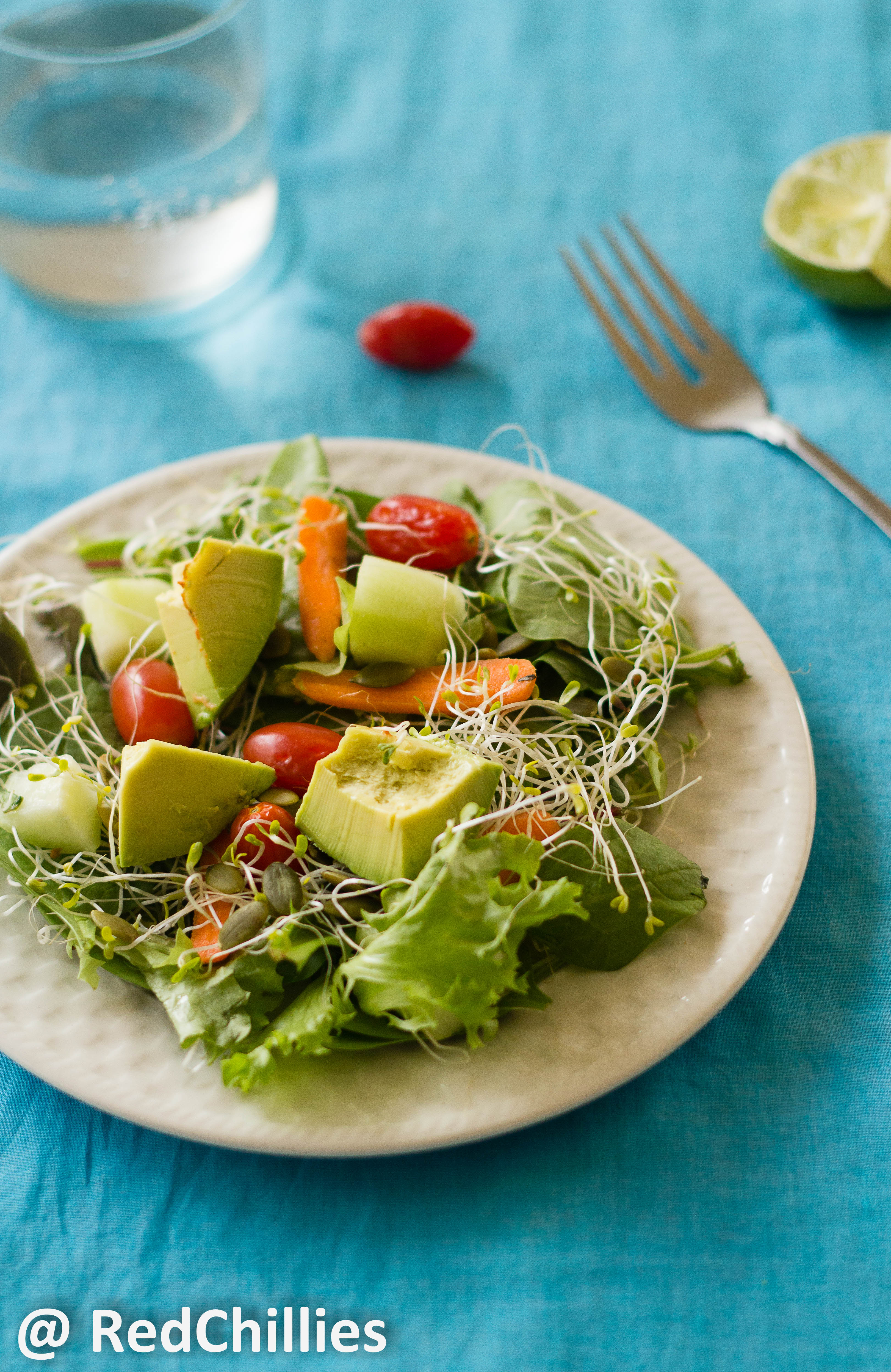 Healthy Alfalfa Sprouts Salad