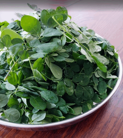 Moringa leaves nugge sappu